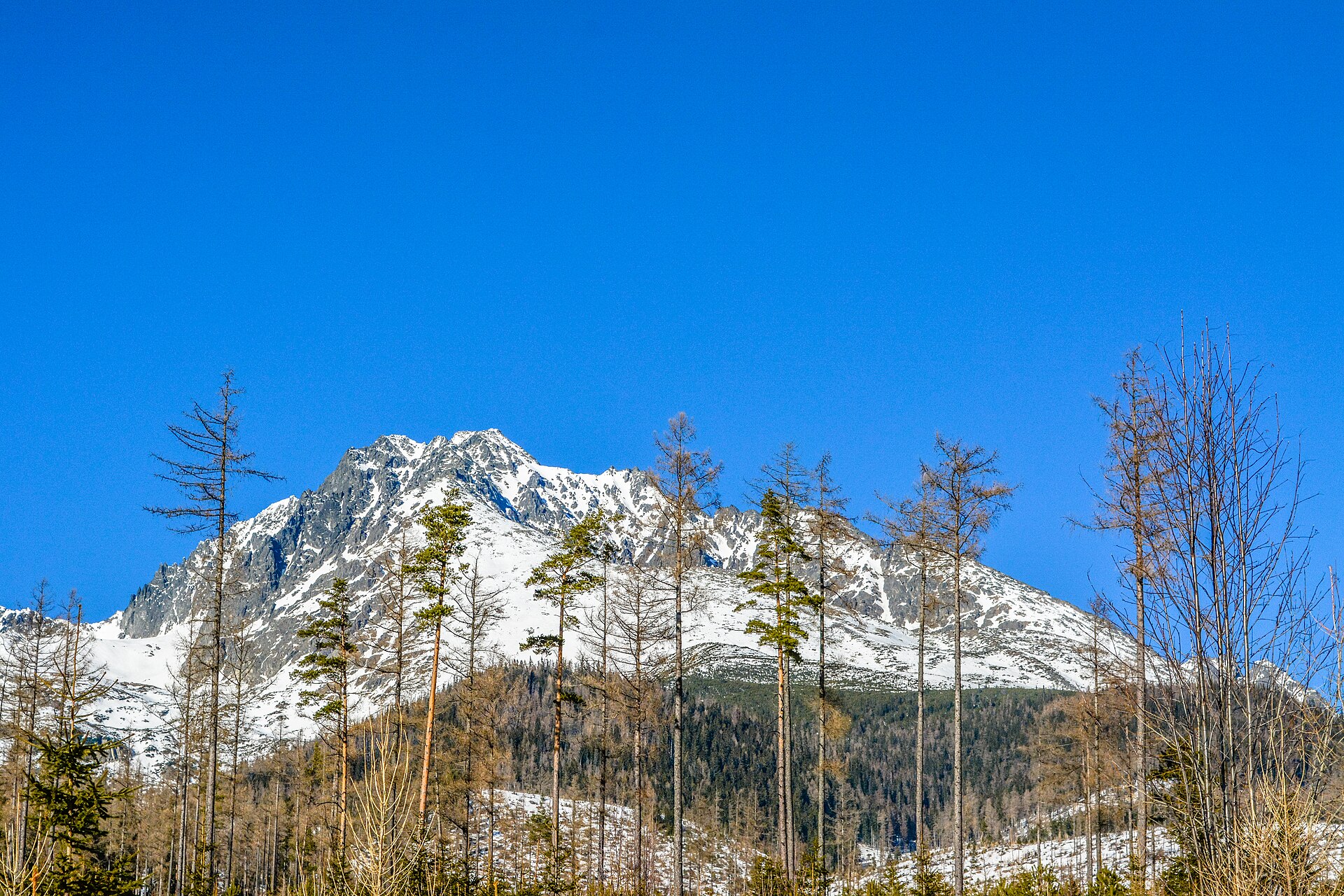 Gerlachovský štít (Gerlach) — najwyższy szczyt Tatr i Karpat, 2655 m n.p.m.